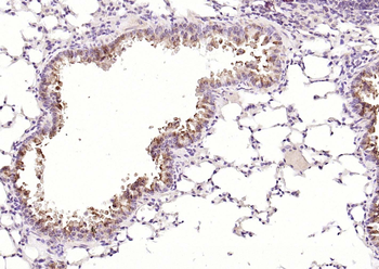产品细节图片2