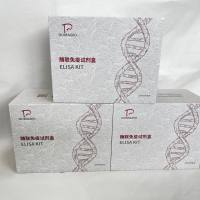 猪(Porcine)抗钙调素特异抗体(CAM-Ab)ELISA检测试剂盒