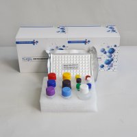 大鼠白介素6(IL-6)ELISA试剂盒