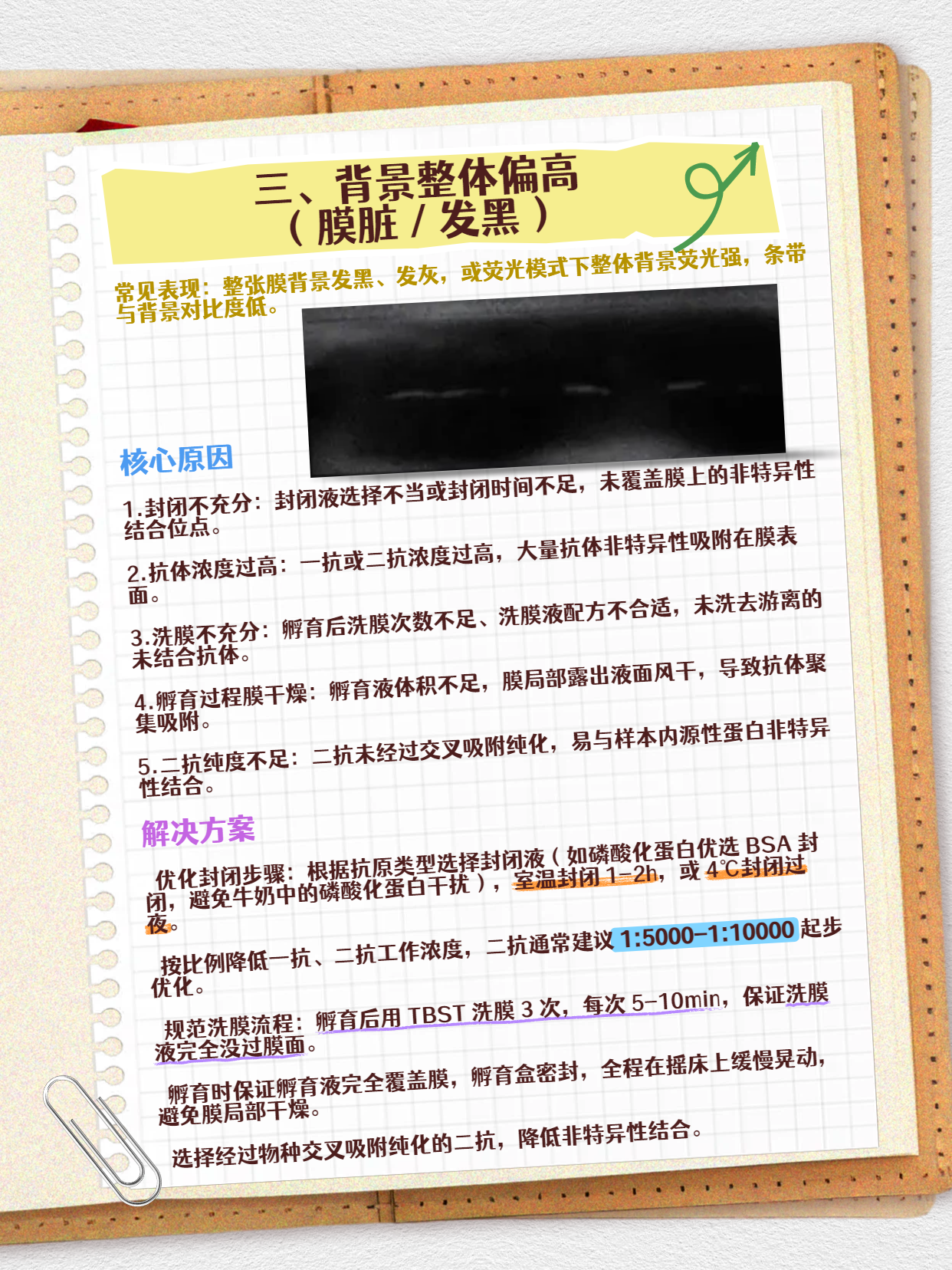 技术资料图片4
