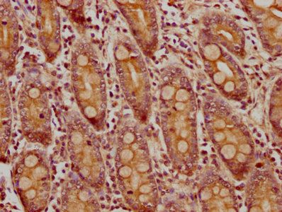 产品细节图片1
