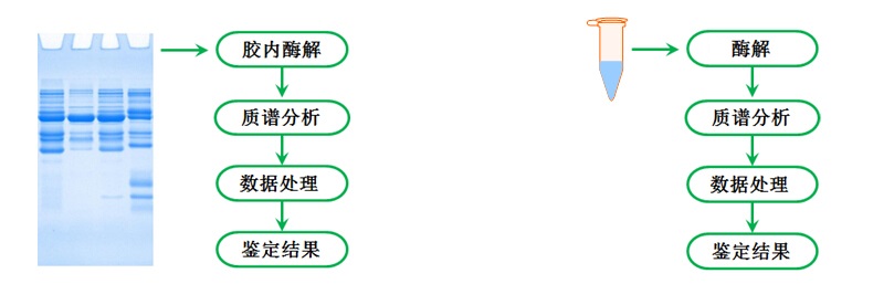 产品细节图片1