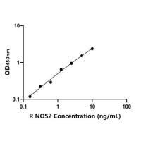 兔诱导型一氧化氮合酶(NOS2)ELISA试剂盒