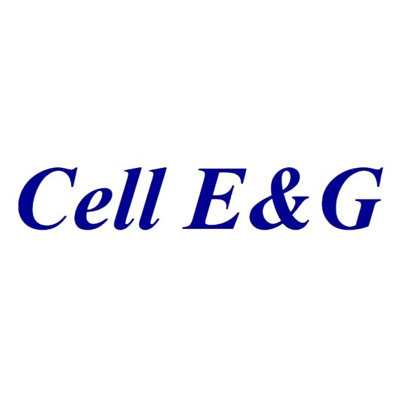 Cell E&G 玻底培养皿 细胞培养皿