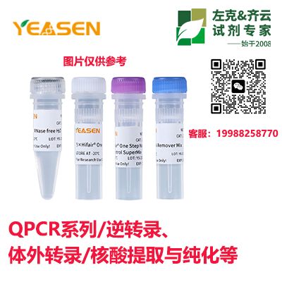 YeaCell® Single Cell Clean up Kits产品图