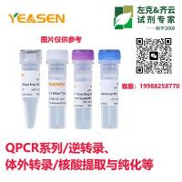 同型半胱氨酸水平相关SNP位点快速检测试剂盒