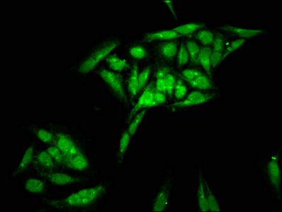 产品细节图片2