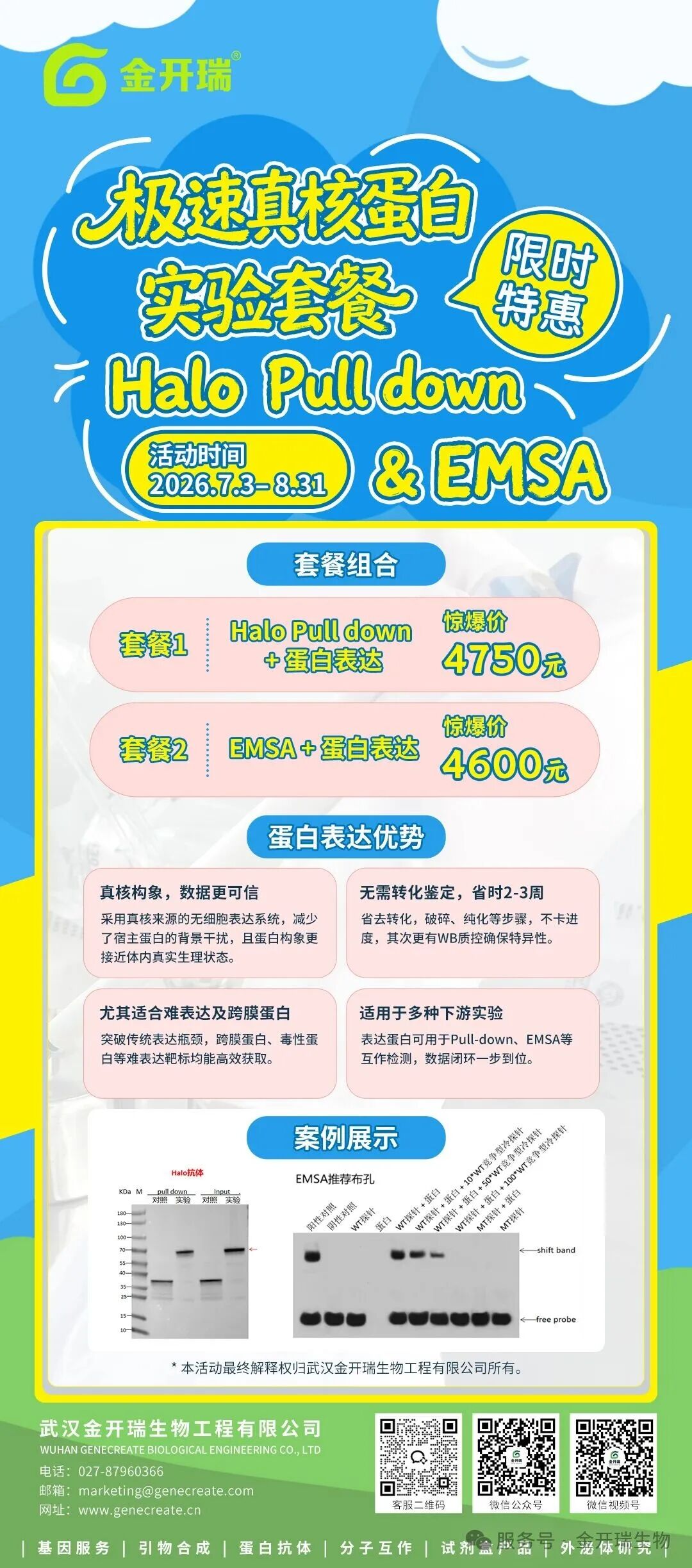 EMSA又失败了？别急着重复，先对照这5个环节排查一遍