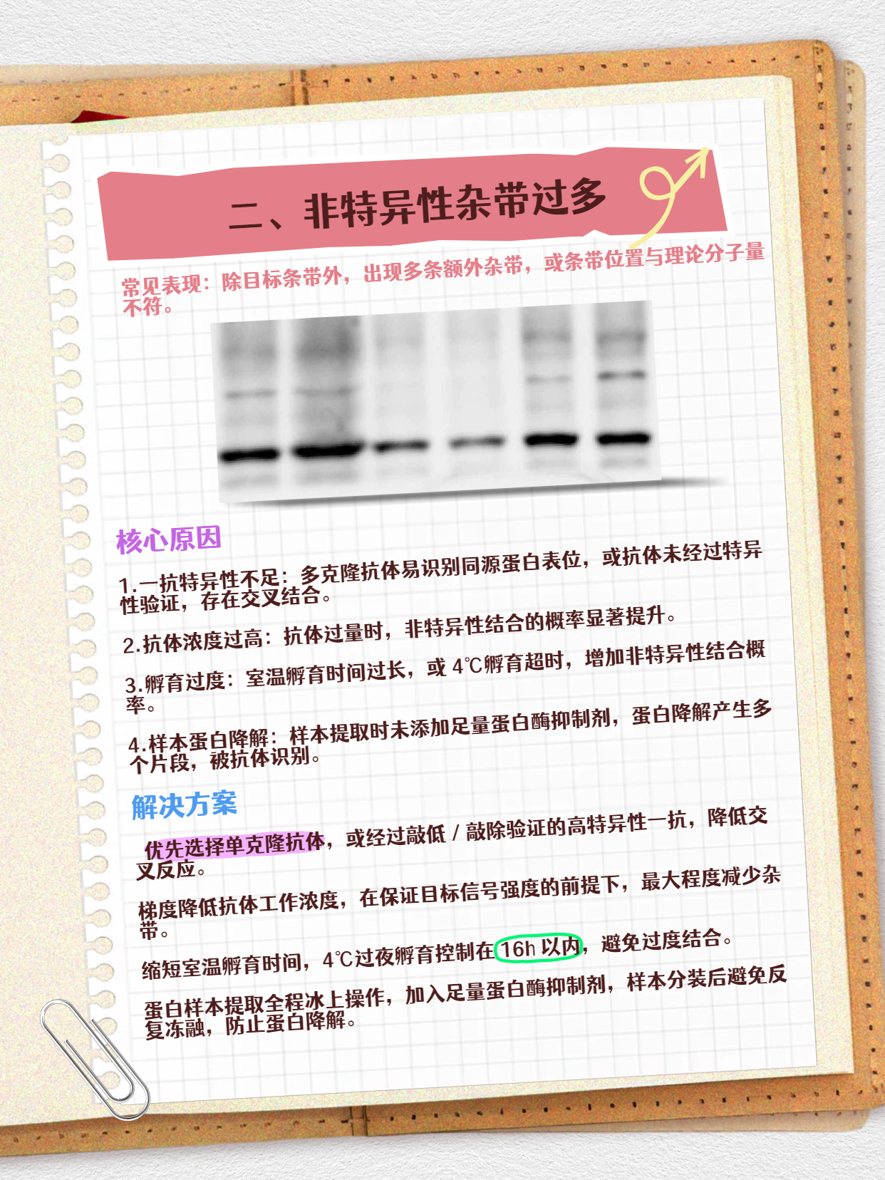 技术资料图片3