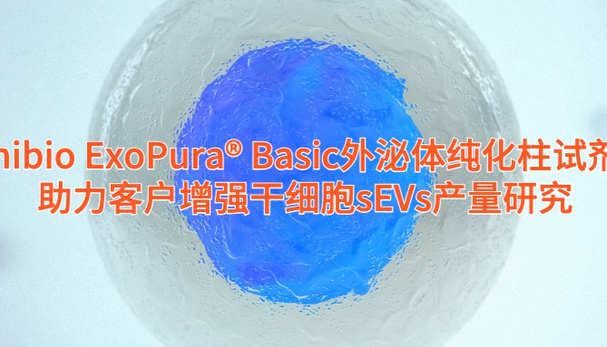 IF=11 | Umibio 外泌体纯化SEC柱助力客户提升干细胞sEVs产量研究！