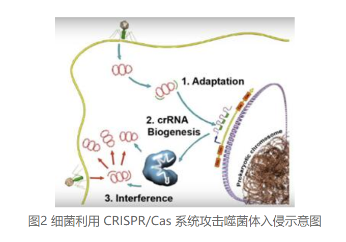 产品细节图片3