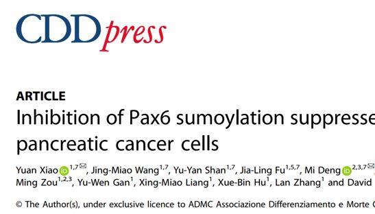 客户文章 | Pax6蛋白SUMO化修饰：驱动胰腺癌恶性进展的关键分子开关