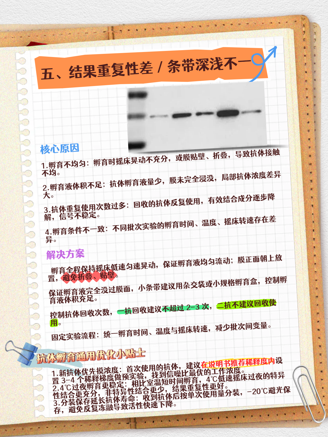技术资料图片6