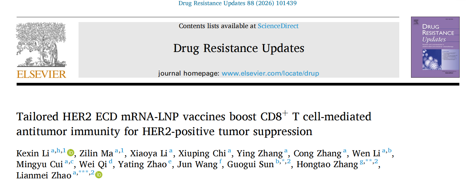 文献分享《Drug Resistance Updates》——从抗原优选到联合增效：HER2 ECD mRNA-LNP重编程CD8+TILs分化轨迹，协同PD-1/放化疗提升HER2+肿瘤治疗效果