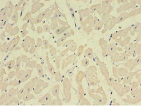 产品细节图片3