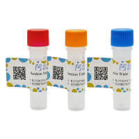 随机突变试剂盒，BioReagent, 分子生物学级, 无菌，阿拉丁