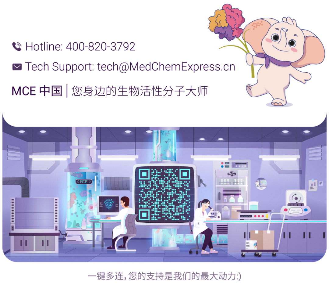 新闻图片1