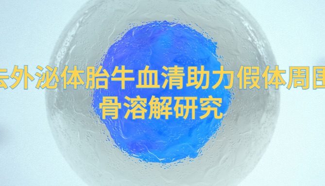 IF=15.5| Umibio去外泌体胎牛血清（UR50202）助力客户假体周围骨溶解研究！