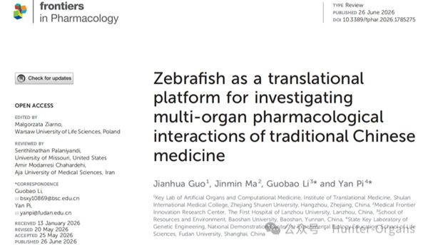 复旦大学全新综述丨小鱼大用：斑马鱼如何成为中药多器官药理互作的转化研究平台？