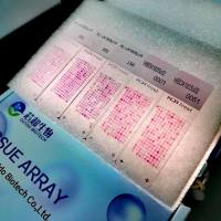组织芯片暑期大促2026