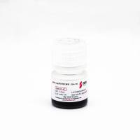 Ni-NTA Agarose Magbeads Ni-NTA琼脂糖磁珠