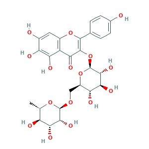 6-羟基山柰酚-3-O-芸香糖苷产品图