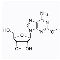2-甲氧基腺苷,24723-77-1,Moligand™,≥97%,阿拉丁