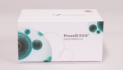 Hepa 1-6 (3D) 小鼠肝癌肿瘤球模型-3D肿瘤球，重塑肝癌研究新维度