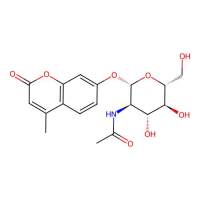 4-Methylumbelliferyl-2-acetamido-2-deoxy-β-D-Glucopyranoside,37067-30-4,Moligand™, 10 mM in DMSO,阿拉丁
