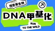 技术分享丨DNA甲基化及其检测技术解析