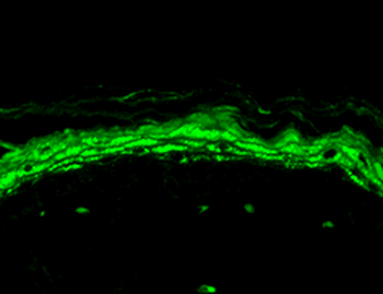 产品细节图片3