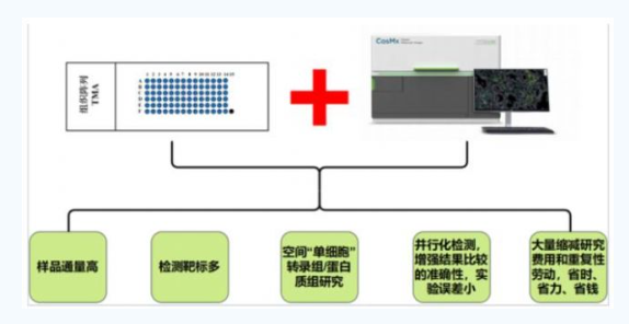 新闻图片2