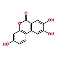 尿石素C
