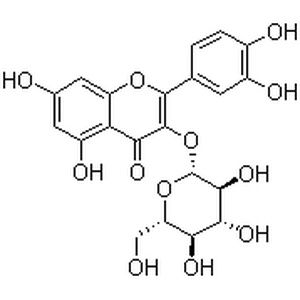 槲皮素-3-O-葡萄糖苷产品图