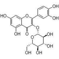 槲皮素-3-O-葡萄糖苷