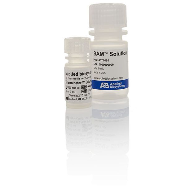 4376486赛默飞Applied Biosystems™ BigDye XTerminator™ 纯化试剂盒