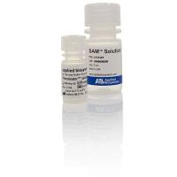 4376486赛默飞Applied Biosystems™ BigDye XTerminator™ 纯化试剂盒