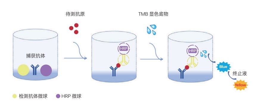 联科生物EasyGo!™一步法ELISA试剂盒-只加样本/标准品，省时省力少出错