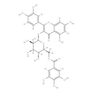 槲皮素3-O-(6''-没食子酰基)-β-D-半乳糖苷