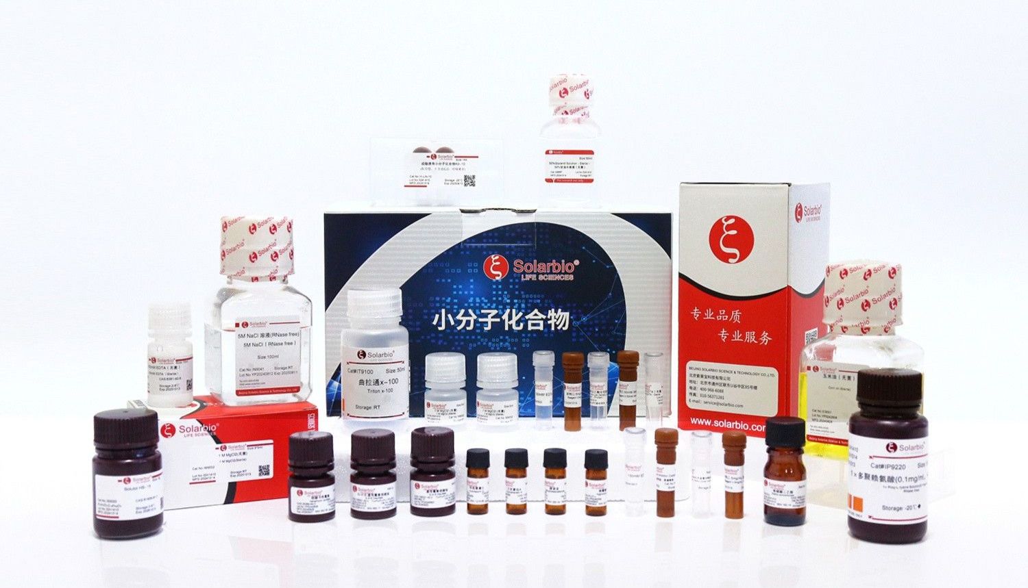 文献简报|新型肽段 66CTG 通过稳定原癌基因 Myc 蛋白，促进三阴性乳腺癌生长