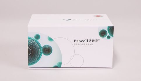 告别2D局限，拥抱3D真实：HCT 116 (3D) 肿瘤球模型，为您的肠癌研究赋能