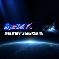 Spatial X全息蛋白组