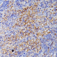 产品细节图片2
