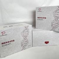 猪(Porcine)抗胶原蛋白抗体(CLA)ELISA检测试剂盒