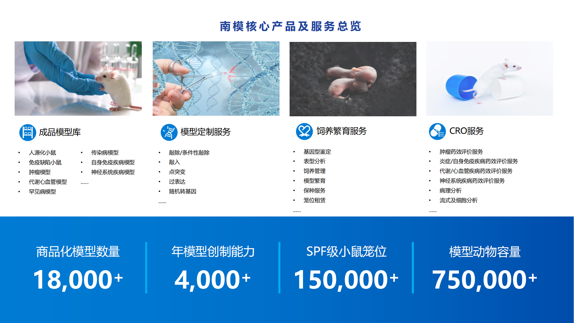 新闻图片4