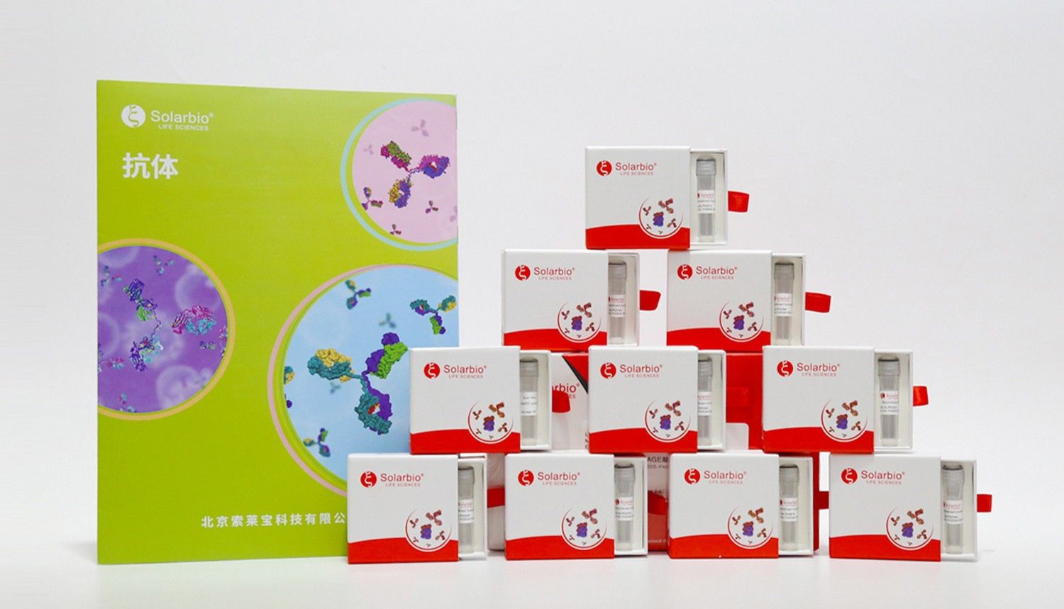 抗体产品星推荐 | Anti-RPL13 Polyclonal Antibody