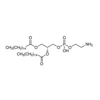 1,2-二棕榈酰基-sn-丙三基-3-和磷酸乙氨醇 (DPPE)，923-61-5，Moligand™, ≥99%，阿拉丁