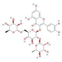 槲皮素-3-O-芸香糖-(1→2)-O-鼠李糖苷