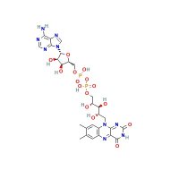 腺嘌呤黄素二核苷酸(FAD)，146-14-5，Moligand™, ≥97%，阿拉丁