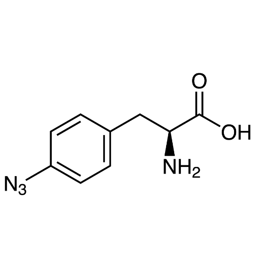 4-叠氮基-L-苯丙氨酸，33173-53-4，≥98%，阿拉丁产品图